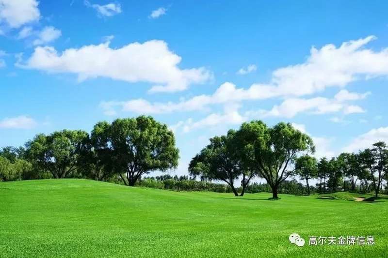 荣盛森林高尔夫球场咨询预约电话18633570222  15703350808​