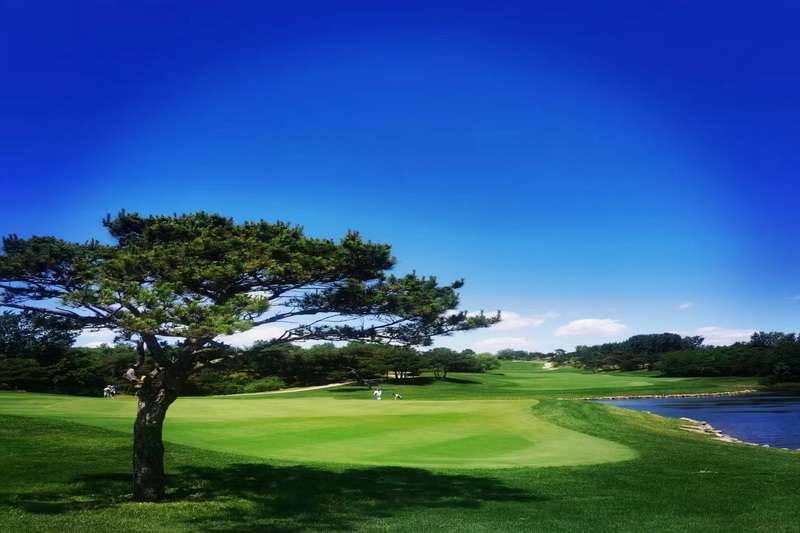 北戴河松石高尔夫俱乐部（Pine Rock Golf Club）球会球场预定