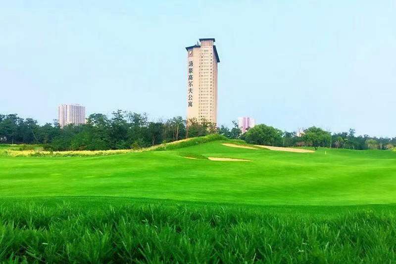北戴河荣盛黄金海岸高尔夫俱乐部森林球场
